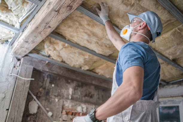 Best Insulation Installation Services in Young Harris, GA